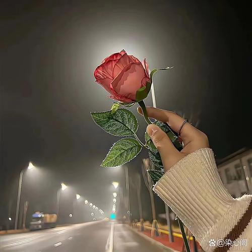 抖音 女朋友 扔玫瑰花