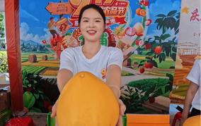 北海新闻频道在线直播