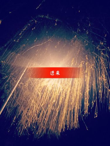 快手高级死粉怎么分辨