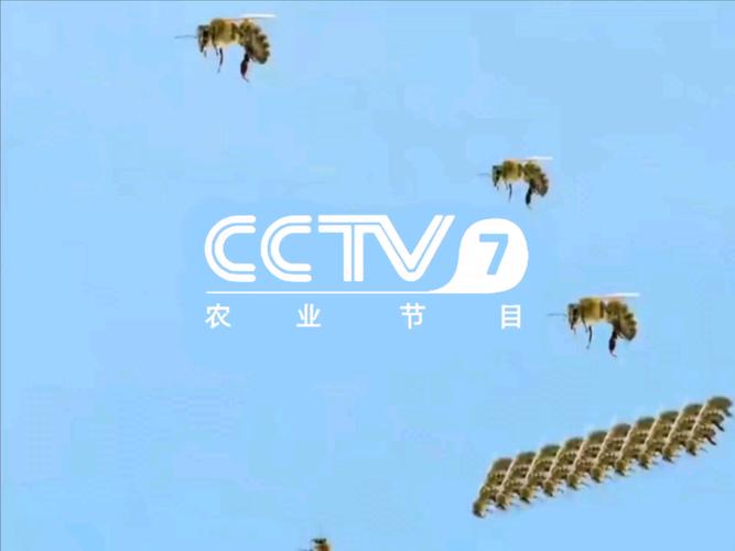 中央七台在线直播乡土