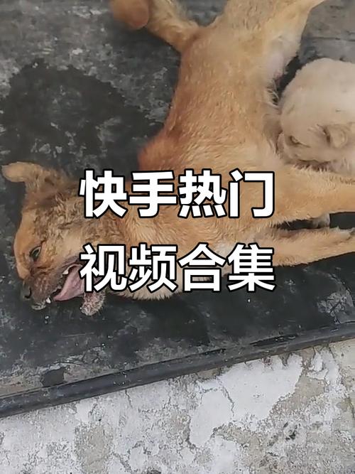 看快手视频怎么那么短