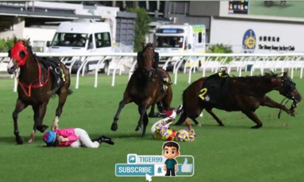 香港今天跑马现场直播