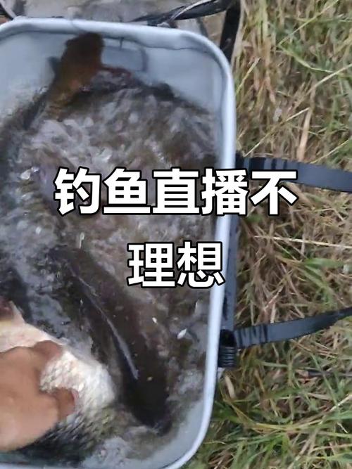 钓鱼学院全集视频直播