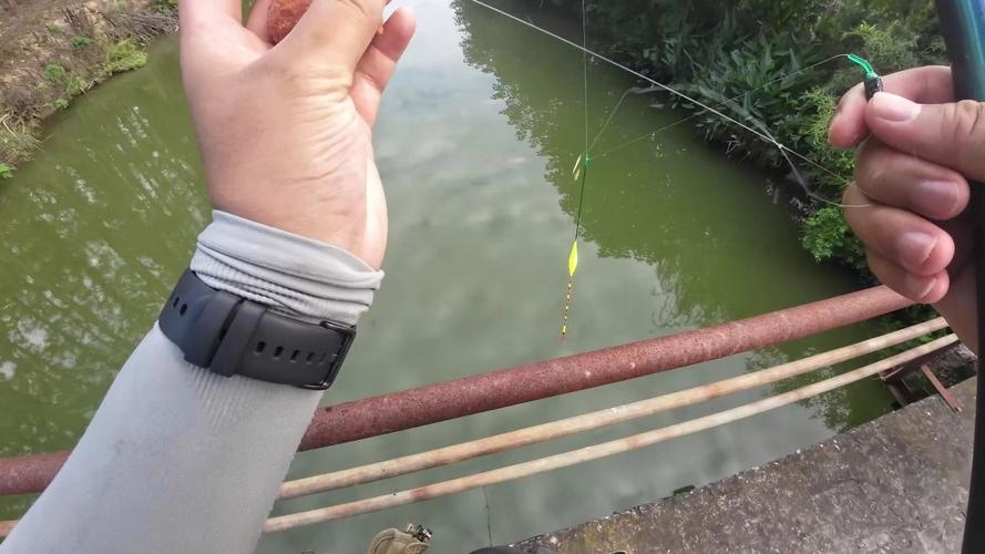 钓鱼学院全集视频直播