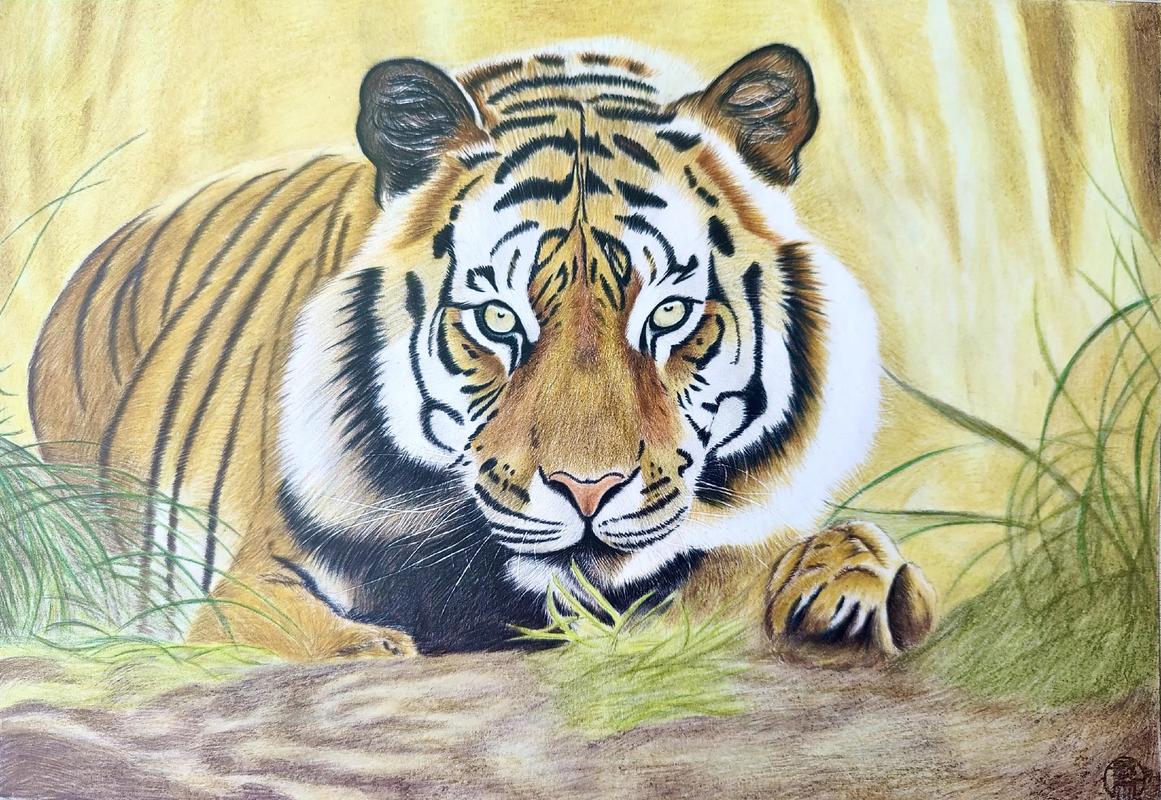 快手画动物老虎的名字