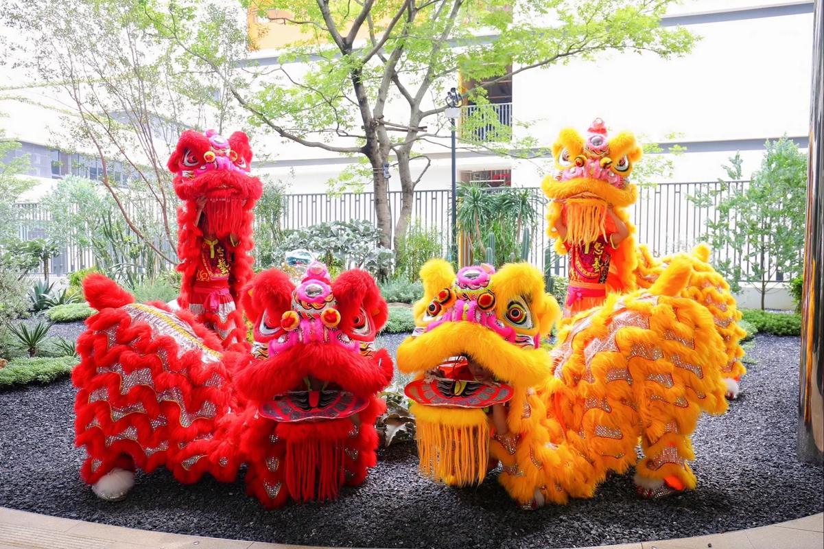 佛山醒狮表演视频直播