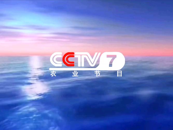 btv7生活频道直播