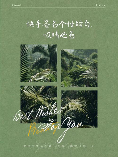 快手个性名片文字图片