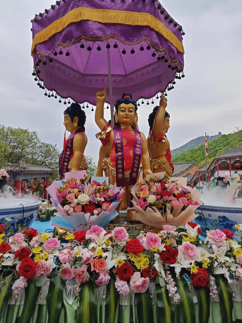 普寿寺浴佛节视频直播