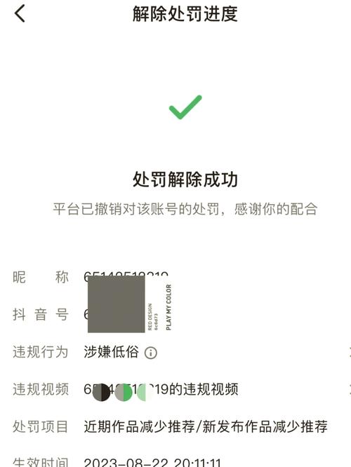 怎样查看快手解封进度