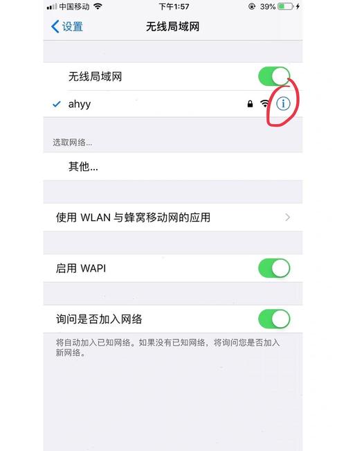 ipone抖音无法上网