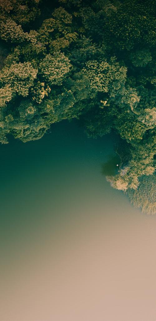 苹果xsmax抖音壁纸