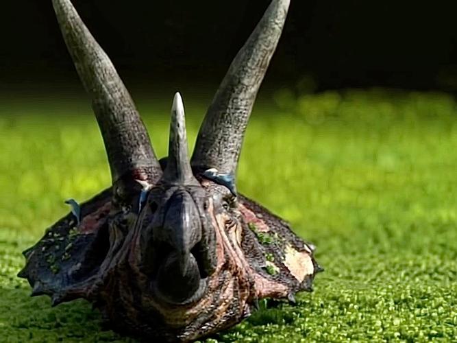 抖音最近很火的三角龙