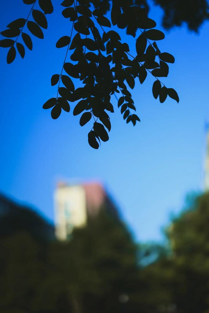 快手怎么拍摄虚幻场景