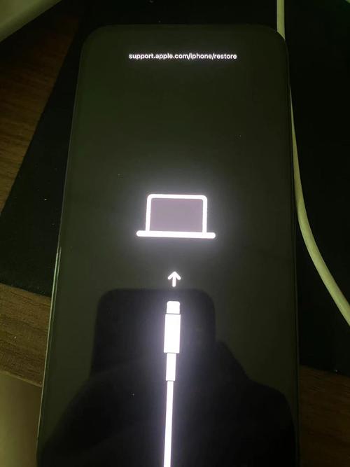 苹果手机快手安装不了