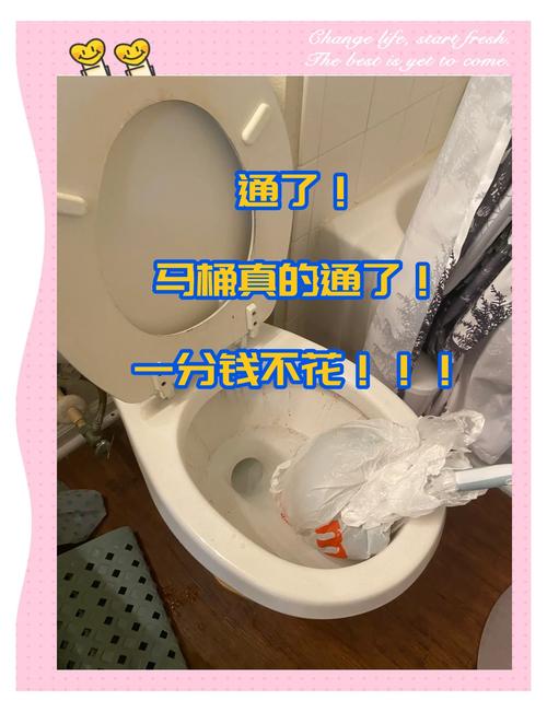 抖音通卫生间堵怎么办