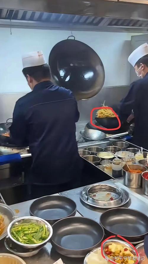 山东综艺百姓厨神直播