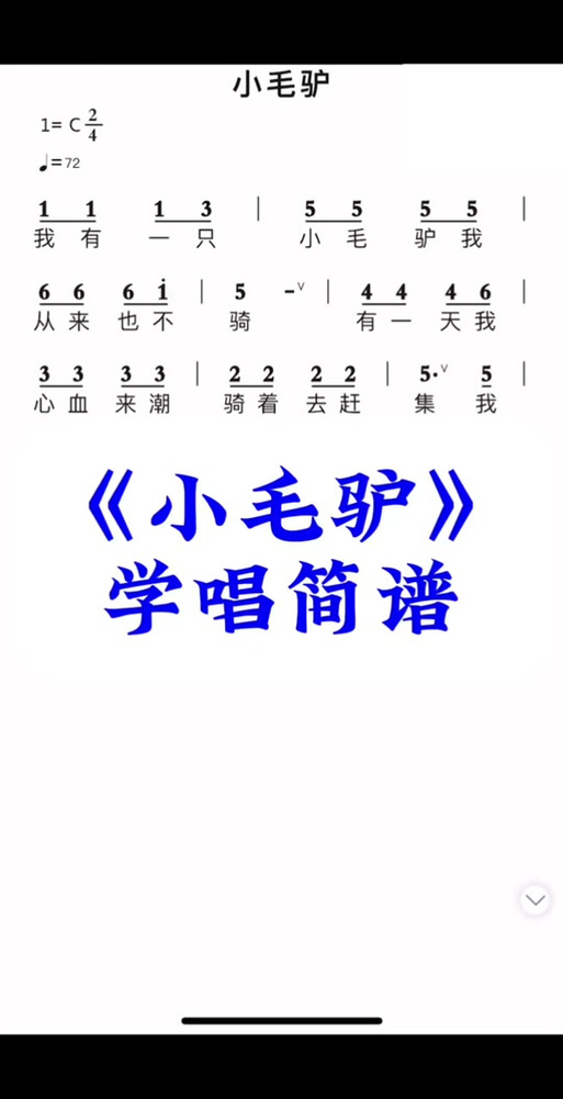 抖音小猫咪小毛驴的歌