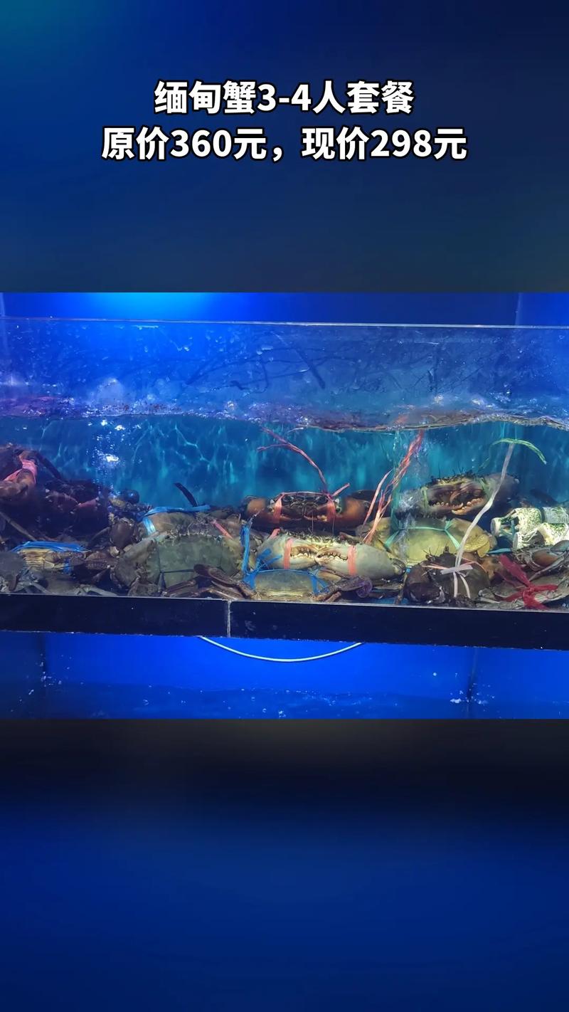 迷踪蟹的做法视频直播