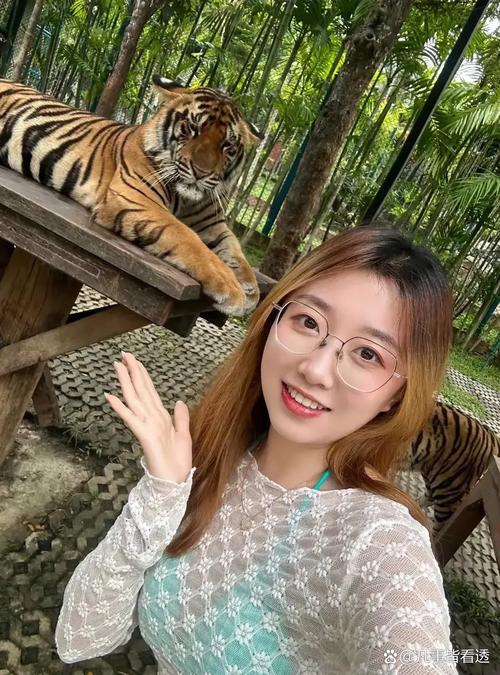 老虎直播花族18女女