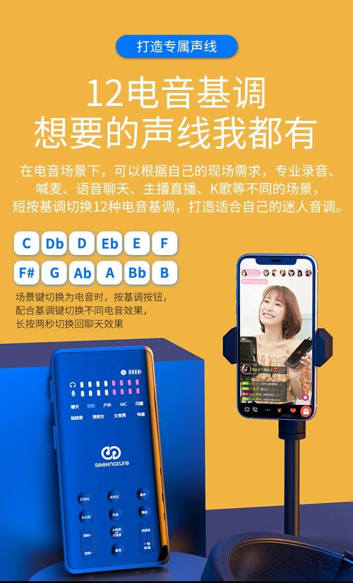 快手录音都用声卡了吗