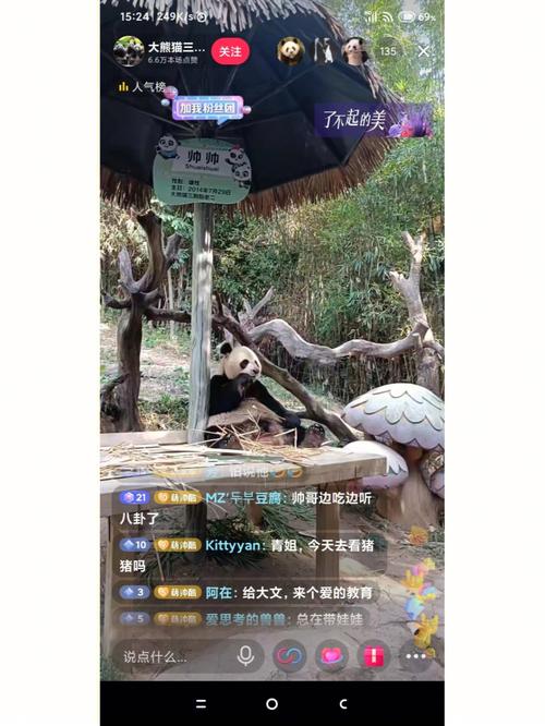 熊猫开直播有什么要求