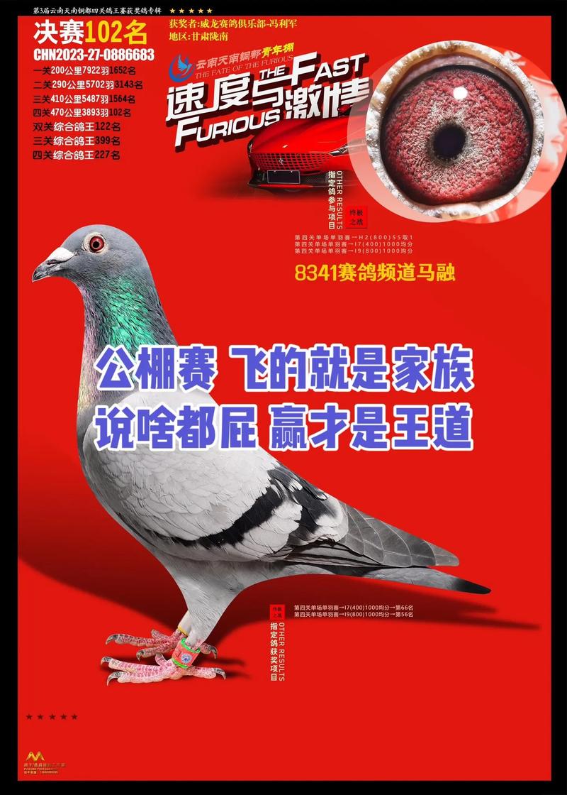 杭州安捷赛事在线直播