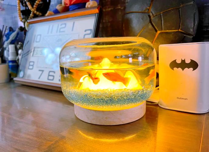 斗鱼直播需要什么配置