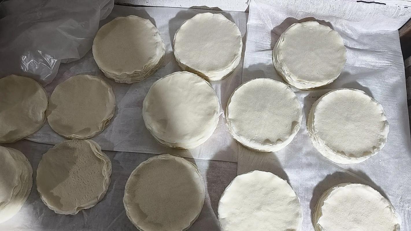 抖音上饺子皮做春卷皮