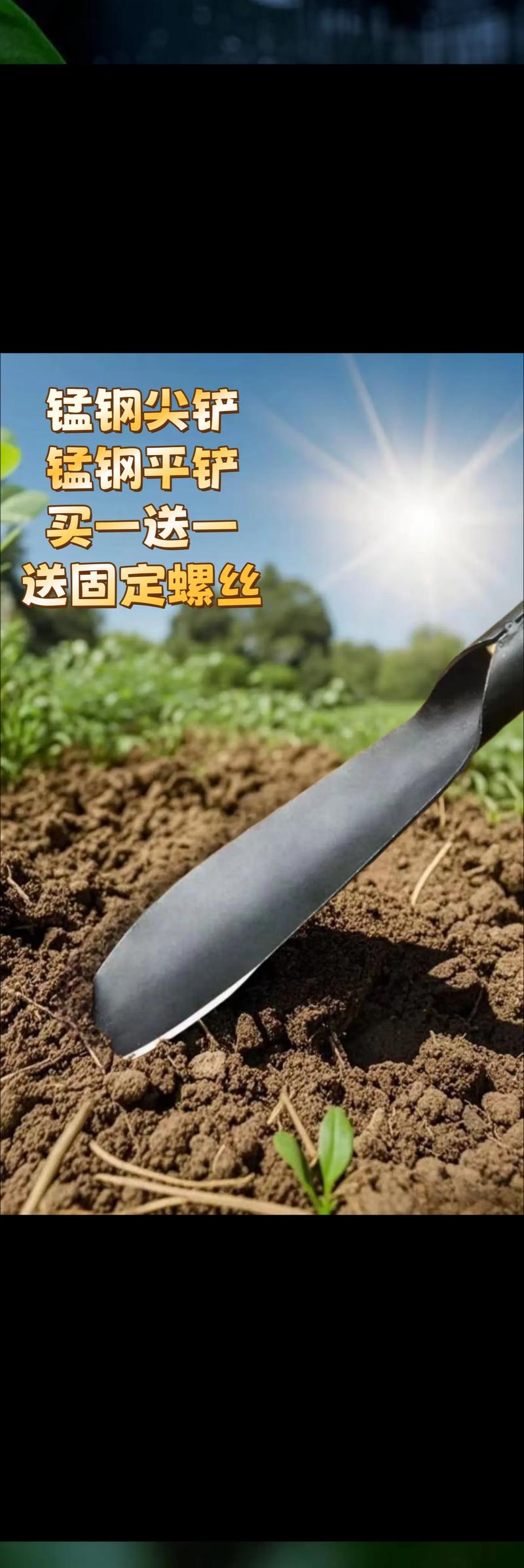 抖音铁锹菜吉林市有吗