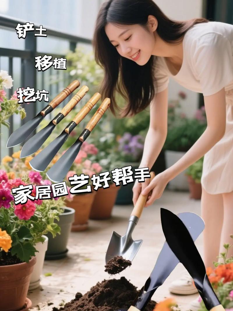 抖音铁锹菜吉林市有吗