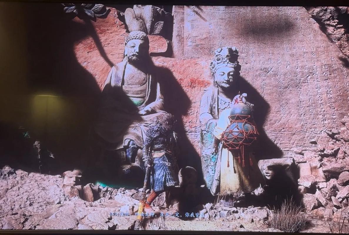 抖音上很火的偷钱的猫