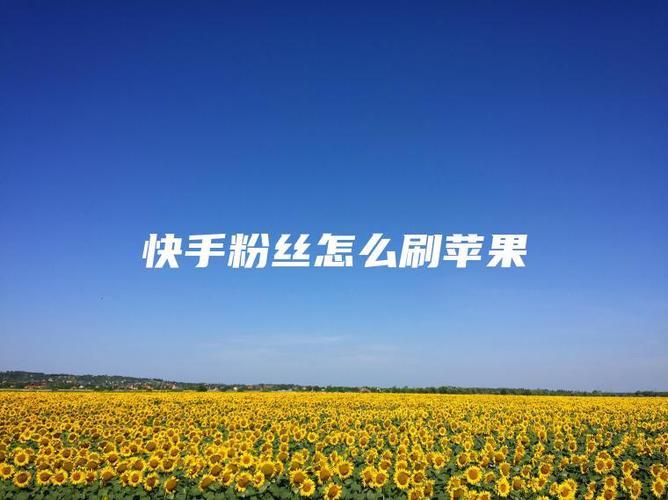 ios快手怎么刷粉丝