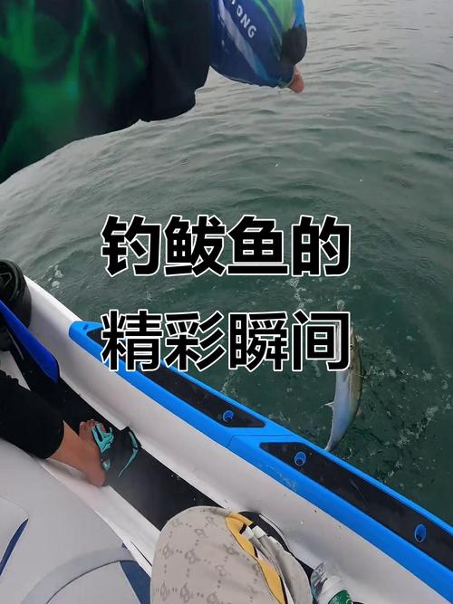 野钓直播频道在线观看