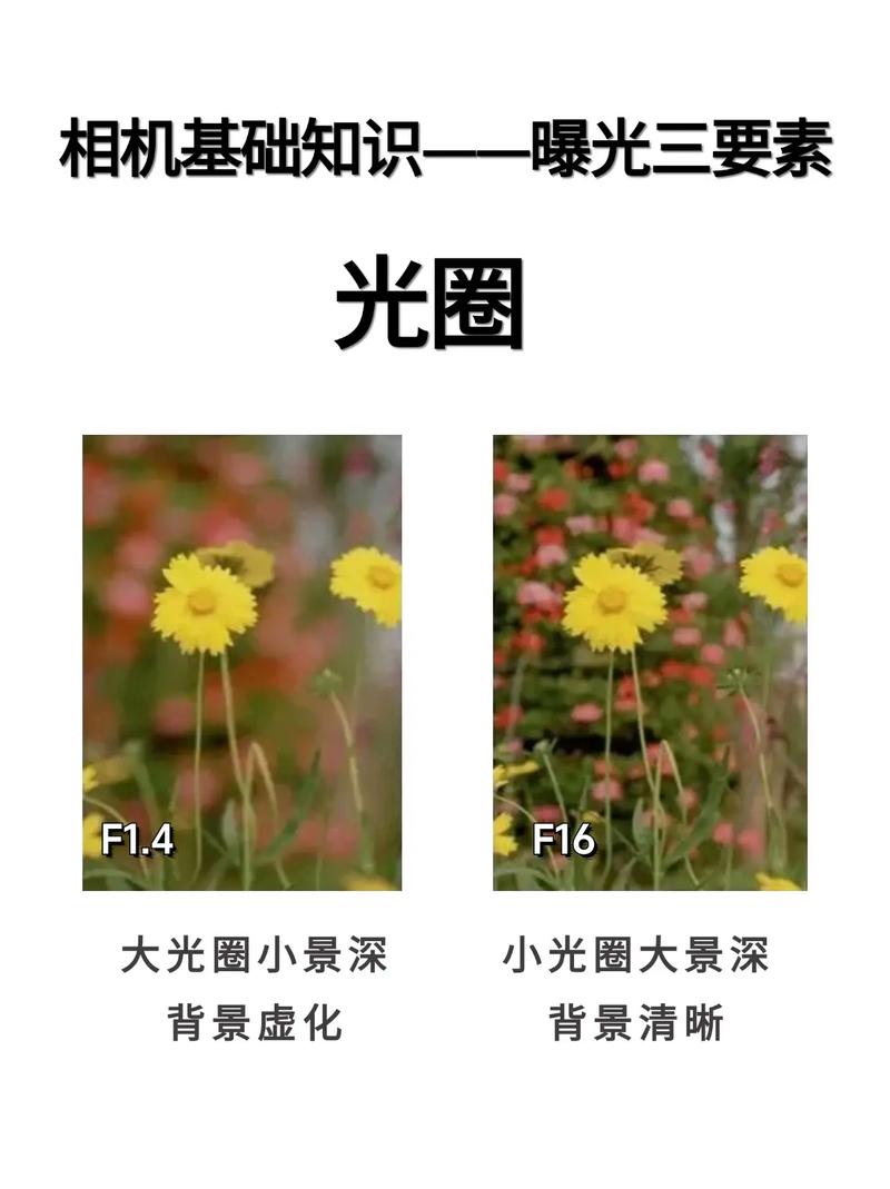 抖音里的光圈怎么弄的