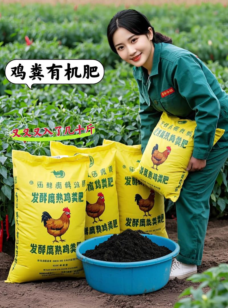 鸡粪发酵方法视频直播