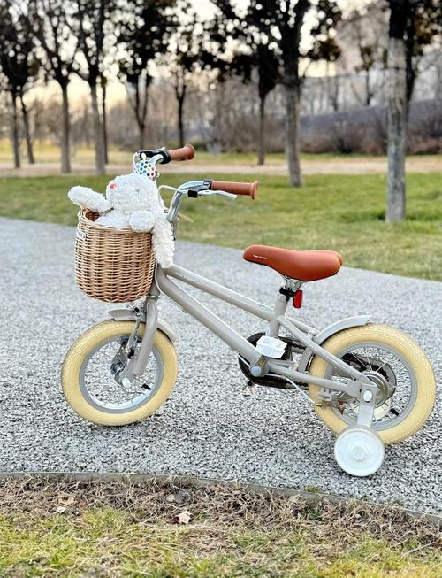 抖音网红儿童自行车6