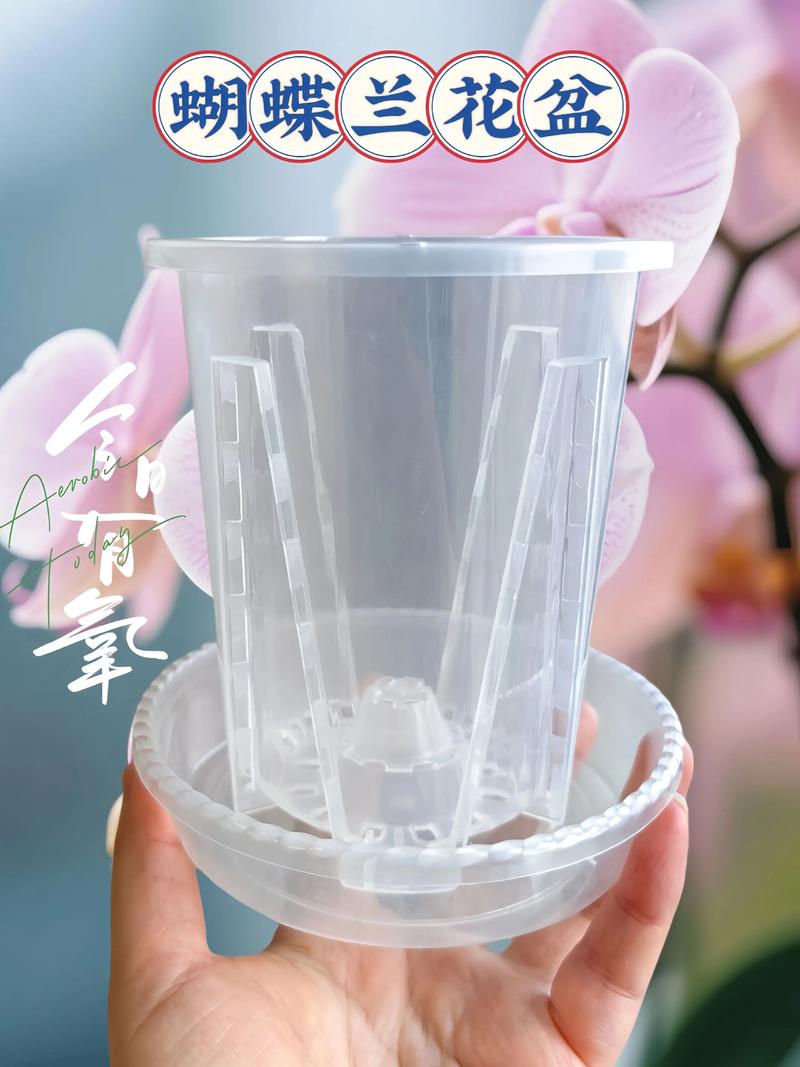 抖音用塑料盆做的花盆