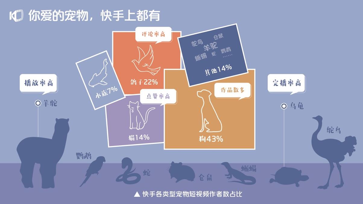 快手宠物交流怎么解决