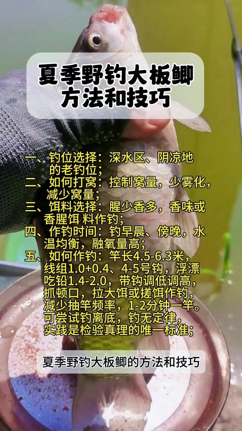 快手钓鱼个人介绍大全