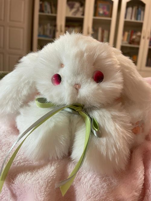 抖音上一只长耳朵兔子