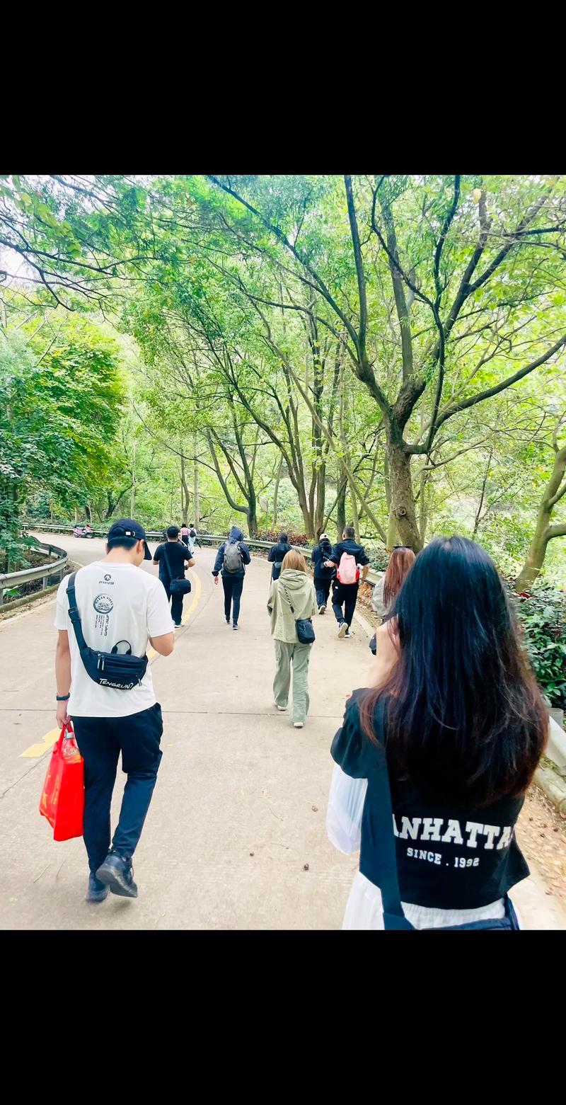 东莞市大岭山抖音组合