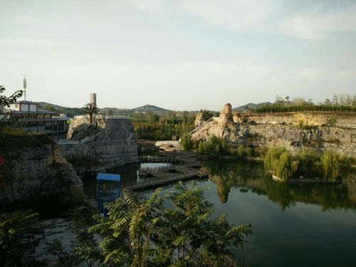 金乡生活频道在线直播