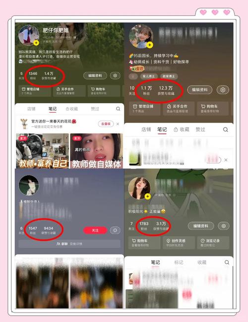 怎么查看快手准确粉丝