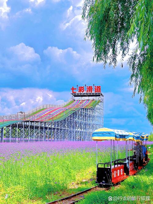 齐齐哈尔快手网红推荐