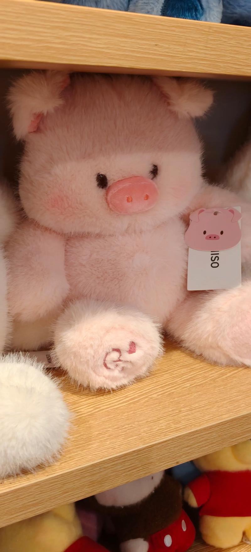 抖音猪可爱的公仔图片