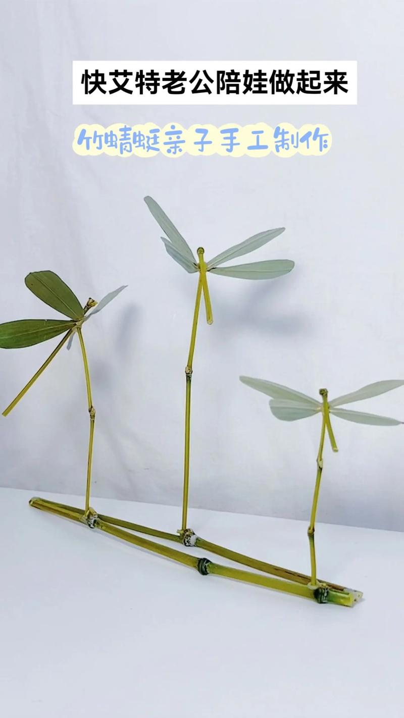 抖音上的竹蜻蜓怎么叠