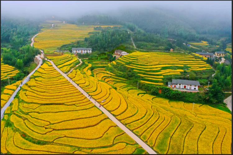 赣州二套第一关注直播