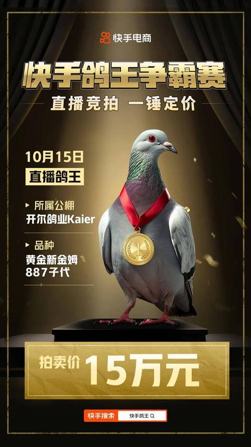 四川信鸽赛事直播平台