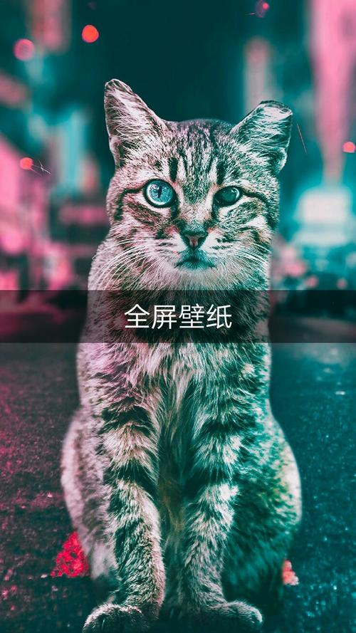 别人快手视频保存手机